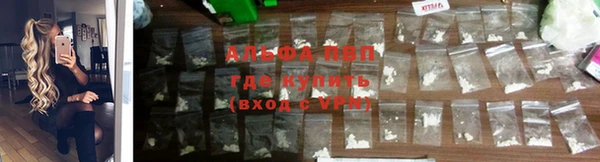 винт Балахна
